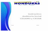 Instructivo Auditoría Social CESAMO y CESAR Capacitacion... · Instrumentos para la realización de Auditoría ... para orientar a los auditores sociales comunitarios de ... Fondos