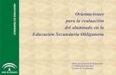 Orientaciones para la evaluación del alumnado en la ...fjjrios/pce/media/4a-EvaluacionESO.pdf · La Educación Secundaria Obligatoria (ESO) es una etapa educativa ... solamente se