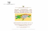 PLAN GENERAL DE ORDENACIÓN URBANA DEL …urbanismo.aytosalamanca.es/.../docs/2011013/Modificacion2_3.pdf · procedimiento cuando se pretenda aumentar la superficie de suelo urbano