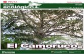  · Refineria El Palito Boletín Puerto Cabello ... metros de diámetro, con contrafuertes prominentes ... La madera se emplea en construcciones rurales postes de cerca ...