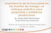 Importancia de la inocuidad en los huertos de mango: …s Los Mochis ppp.pdf · – Los mangos se consumen frescos y en su proceso no existe una etapa de eliminación de microorganismos