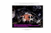 Mina-cueva de Leiza: Bioespeleología y Mineralogía de … · En el suelo hay diversos depósitos sedimentarios g rises en masa, con fragmentos muy disgregados de marcasita (de color