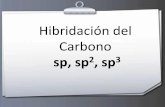 Hibridación del Carbono - dea.unsj.edu.ardea.unsj.edu.ar/quimica2/2- HIBRIDACION DEL CARBONO.pdf · Hibridación del Carbono sp, sp2, sp3. Hibridación del Carbono •En química,