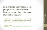 El derecho universal a la propiedad intelectual. Marco …diposit.ub.edu/dspace/bitstream/2445/66116/1/Propiedad intelectual.pdf · del Derecho universal al Derecho español Esta