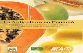 La fruticultura en PanamLa fruticultura en Panamááunpan1.un.org/intradoc/groups/public/documents/icap/unpan035856.pdf · 12 Circuito de la comercialización del mango 36 13 Mangos