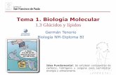 Tema 1. Biología Moleculardpbiologia.weebly.com/uploads/2/1/5/5/21553524/gtp_t1._biología... · sustancias que cumplen esta fórmula y no ... muchos de ellos (monosacáridos y disacáridos),