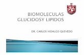 DR. CARLOS HIDALGO QUEVEDO - USMP · monosacáridos, disacáridos polisacáridos. ... Los carbohidratos sirven como fuente de energía ... como material de reserva en el hígado y