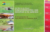 Del Norte de Potosí: Emprendimientos que desafían a …prodii.org/images/libros/libro_sistematizacion_comercial.pdf · Llallagua, Chuquihuta y Chayanta. 1 Información de referencia