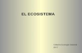 EL ECOSISTEMA - ecaths1.s3.amazonaws.comecaths1.s3.amazonaws.com/ecologiageneral/1383453336.productividad... · Flujo de energía entre el ambiente y entre niveles tróficos ... Variables