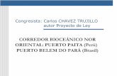 Congresista: Carlos CHAVEZ TRUJILLO autor … · Huallaga, Putumayo, etc. ... ruta del Río Marañón hasta Iquitos, desde ... aproximadamente 200 kms. de carretera,