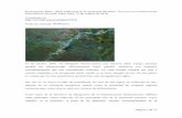 Dourojeanni, Marc, Perú: Hidrovías en la Amazonía del … · En cambio, han excluido los trechos que corresponden al río Putumayo y al río Madre de Dios. ... como en el caso