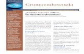 Cromoendoscopia - AEEHaeeh.es/wp-content/uploads/2012/05/v8n6a573pdf001.pdf · fiCe: CromoendosCopia virtual Computada o multi-baNd imagiNg pág. 305 Actualización ... protruida,