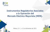 Instrumentos Regulatorios Asociados a la Operación …cre.gob.mx/documento/5910.pdf · necesaria y el formato de solicitud del permiso. ... sustentabilidad del Sistema Eléctrico