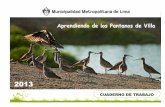 20132013 · El Refugio de Vida Silvestre Los Pantanos de ... las relaciones entre los diferentes seres vivos de los ... de las plantas, así como de otras especies ...