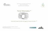 Túnel Manizales - bdigital.unal.edu.co · el sector urbano de Manizales, útil para el trasvase de aguas ... Geología de Manizales: Formación Quebradagrande del Terciario superior