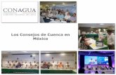 Los Consejos de Cuenca en México - …files.conagua.gob.mx/transparencia/Consejos_Dic2017.pdf · La Ley de Aguas Nacionales de 1992 fundamentó la creación de los Consejos de Cuenca: