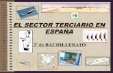 EL SECTOR TERCIARIO EN ESPAÑA - Un sitio de …dolores.eira.es/wp-content/uploads/2017/03/... · Incremento de la seguridad desde el punto de vista integral, en todos los modos y