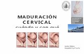 MADURACIÓN - obslafe.es€¦ · • Placenta previa oclusiva • Prolapso – procúbito de cordón • Vasa previa ... • Hemorragia por Desprendimiento de placenta ...