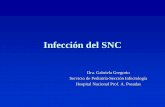 Infección del SNC - sap.org.ar · Infección del SNC Dra. Gabriela Gregorio Servicio de Pediatría-Sección Infectología Hospital Nacional Prof. A. Posadas. Infecciones asociadas
