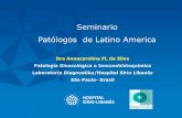 Seminario Patólogos de Latino America · estromales en diferenciación). Celulas en “anillo de sello” (lípidos) Areas hiper e hipocelulares, por vezes edematosas Celulas redondas
