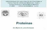 Proteínas - USAC · UNIVERSIDAD DE SAN CARLOS DE GUATEMALA ... Estructura terciaria de las proteínas (mioglobina) ... por mecanismos de transporte activo.