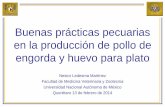 Presentación de PowerPoint - …sistemaproductoaves.org.mx/descargas/TALLER_BUENAS... · Control de fauna nociva •Debe existir un programa para control de: •Roedores •Aves