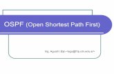 OSPF (Open Shortest Path First) - frlp.utn.edu.ar · Áreas OSPF no tiene límites de cantidad de routers, redes ni diámetro de la red. Cuando el sistema autónomo crece cada uno