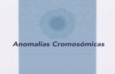 Anomalías Cromosómicas · ¿Qué son? • Las mutaciones o aberraciones cromosómicas son alteraciones en el número o en la estructura de los cromosomas. Se deben a errores