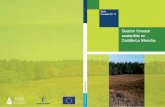 Gestión forestal sostenible - Gobierno de Castilla-La … · PLAN DE ORDENACIÓN DE LOS RECURSOS FORESTALES (PORF) ÁMBITO LOCAL PROYECTO DE ORDENACIÓN PLANES DASOCRÁTICOS. 14