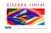 ÁLGEBRA LINEAL - Educación Matemática | La … · B-2 Transformaciones lineales invertibles y compuestas A30 Glosario para álgebra lineal A39 Respuestas A45 ... Los de la primera,
