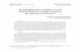 Rehabilitación cognitiva en la esquizofrenia: estado ...sid.usal.es/idocs/F8/ART10991/rehabilitación_cognitiva.pdf · parala mejora en la ejecución neuropsicológi- 248 Apuntes