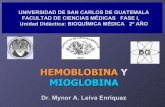 Hemoglobina y Mioglobina - BIOQUÍMICA … · 3– Explicar el efecto Bohr. 4– Explicar el sistema de transporte de CO2 y O2 por la hemoglobina. Objetivos de aprendizaje 5– Explicar