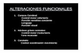 ALTERACIONES FUNCIONALES - …ecaths1.s3.amazonaws.com/spm/Sindromes.neurologicos.364000235.… · Sistema extrapiramidal Movimiento asociado ... ELEMENTOS DEL SINDROME PIRAMIDAL