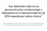 glucocorticoides en Hipocampo e Hipotálamo en la ... · Eje Hipotalámico-Hipofisario-Adrenal (HPA) ¿Cómo funciona el eje HPA? 1)Frente al estrés fisiológico, se sintetiza el