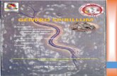 GÉNERO SPIRILLUMfiles.rcb-medicina.webnode.es/200000006-e3352e4325/SPIRILLUM SP.… · Genero de bacterias espirales y curvas de la familia Spirillacea, ... Spirillum en el orden