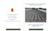 Instalaciones de riego por goteo - agrolanzarote.com · ÁREA DE AGRICULTURA Y GANADERÍA ÁREA DE AGRICULTURA Y GANADERÍA Goteros: Antes de instalar un sistema de riego debemos
