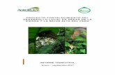 PROYECTO FORTALECIMIENTO DEL … · 2018-08-13 · Pequeños Productores rurales en las regiones de Sierra y Selva ... productores rurales de la sierra y selva alta del Perú. El
