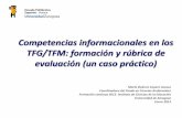 Competencias informacionales en los TFG/TFM: formación y rúbrica de ... · Estudio de la propuesta en la Comisión de PFC o Comisiones de Garantía de Calidad No más ... Nuevo