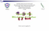 Tema VIII: División Celularbiologiastv.weebly.com/uploads/4/0/1/0/40103559/tema_viii_divisi... · CONTROL DE LA METAFASE. 7 Tema 2: Mitosis y meiosis Especie 2n Ser humano ( Homo