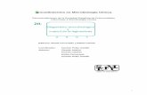 Procedimientos en Microbiología Clínica - SEIMC · Detección de Legionella en muestras clínicas con técnicas de PCR 6. Prevención y control de la legionelosis 6.1 ... Fuentes