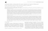 Anatomía foliar y del pecíolo de cuatro especies de ... 83_3/pdf 83_3/09... · Palabras clave: Lupinus montanus, Lupinus reflexus, células papilosas, haces vasculares del pecíolo,