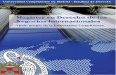 Magíster en Derecho de los Negocios Internacionaleswebs.ucm.es/centros/cont/descargas/documento15525.pdf · Magíster en Derecho de los Negocios Internacionales Título propio de