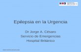 Epilepsia en la Urgencia - reeme.arizona.edu en la Urgencia.pdf · secuelas neurológicas. • Status refractorio (a dos drogas): 30% en una serie retrospectiva. Responsabilidades