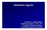 Abdomen Agudo - blogs.unc.edu.arblogs.unc.edu.ar/cirugia/files/ABDOMEN-AGUDO.pdf · Abdomen Agudo Definición: Es toda afección aguda que tiene como manifestación sobresaliente