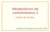 Metabolismo de carbohidratos 2 - bioquiucimed · Ciclo de Krebs: Vía anfibólica: •Catabolismo de –Carbohidratos –Ácidos grasos –Proteínas, aminoácidos •Fuente de sustratos
