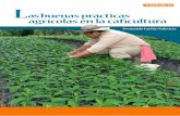 as buenas prácticas agrícolas en la caficultura - Cenicafé · de plagas y enfermedades, uso racional de fertilizantes y las prácticas de conservación del suelo, entre otras ...