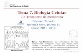 Tema 7. Biología Celular - dpbiologia.weebly.comdpbiologia.weebly.com/uploads/2/1/5/5/21553524/gtp_t7.biología... · ¿Qué vamos a aprender? La membrana celular es semipermeables.
