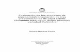 Evaluación de los procesos de precocción-congelación de ... · Evaluación de los procesos de precocción/congelación de tres presentaciones de papa criolla (Solanum tuberosum