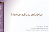Interoperabilidad en México - IBTTA · Interoperabilidad en México Luis Lezama Elguero Director de Desarrollo Tecnológico. ... Tipos de TAGs utilizados en México.