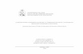 UNIVERSIDAD DE CHILE FACULTAD DE CIENCIAS …repositorio.uchile.cl/.../cs-troncoso_m/pdfAmont/cs-troncoso_m.pdf · CONSTRUYENDO EXPERIENCIAS DESDE LA TEMPRANA INFANCIA: Una Perspectiva
